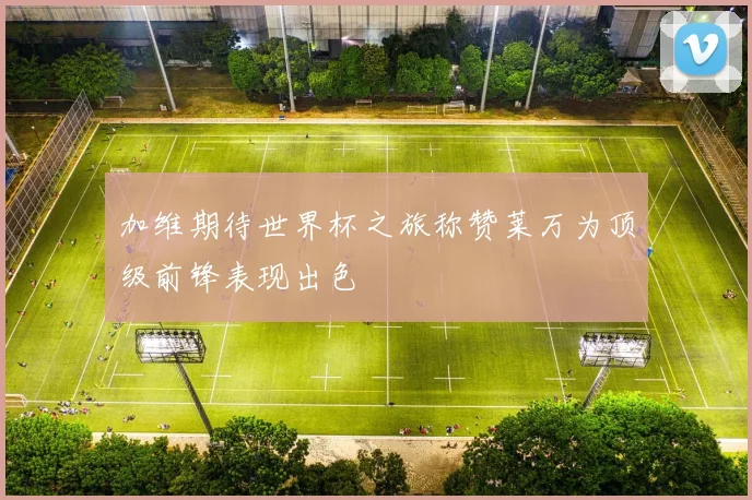 加维期待世界杯之旅称赞莱万为顶级前锋表现出色